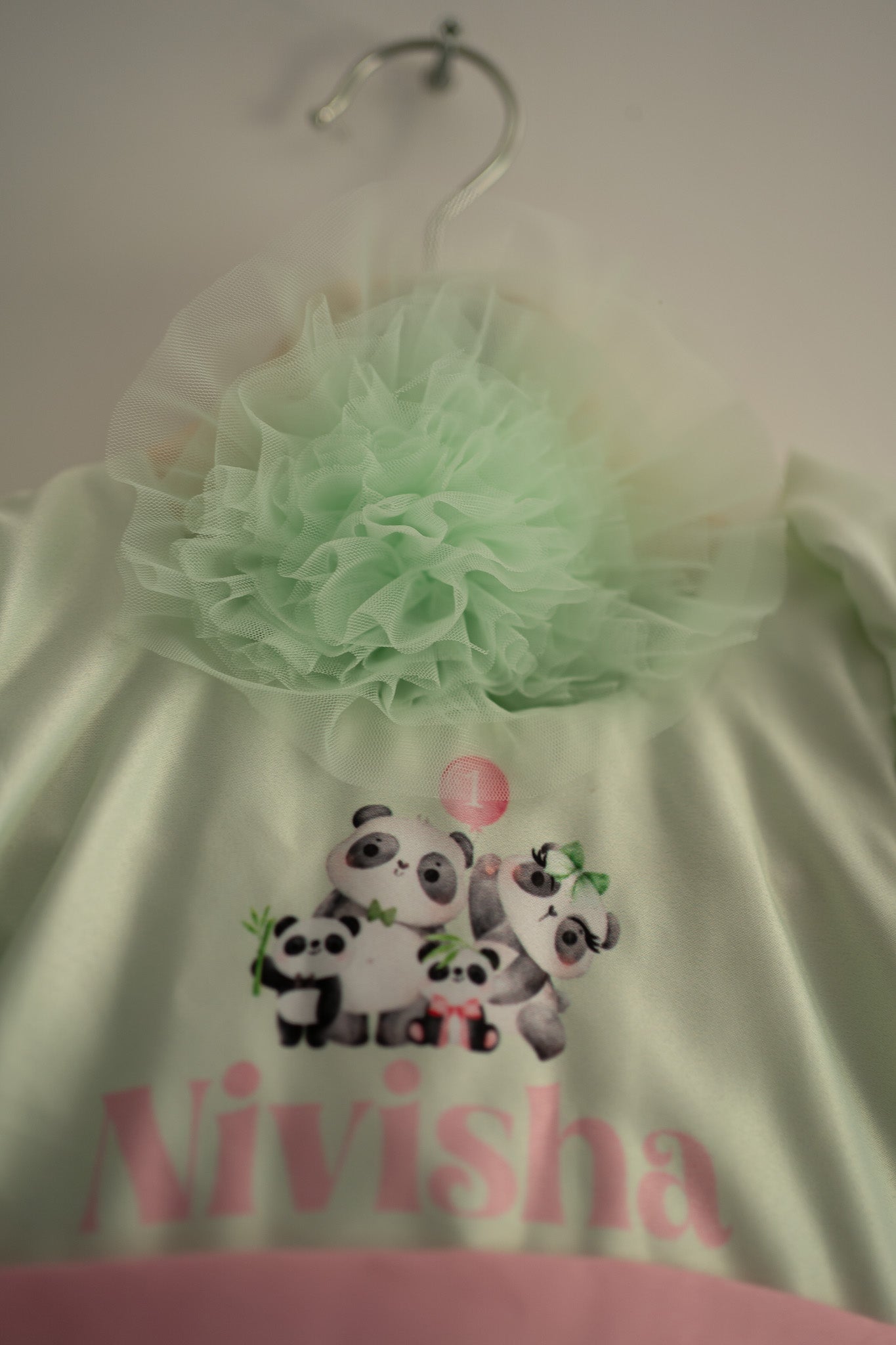 Panda wonderland theme mint green kids birthday frock